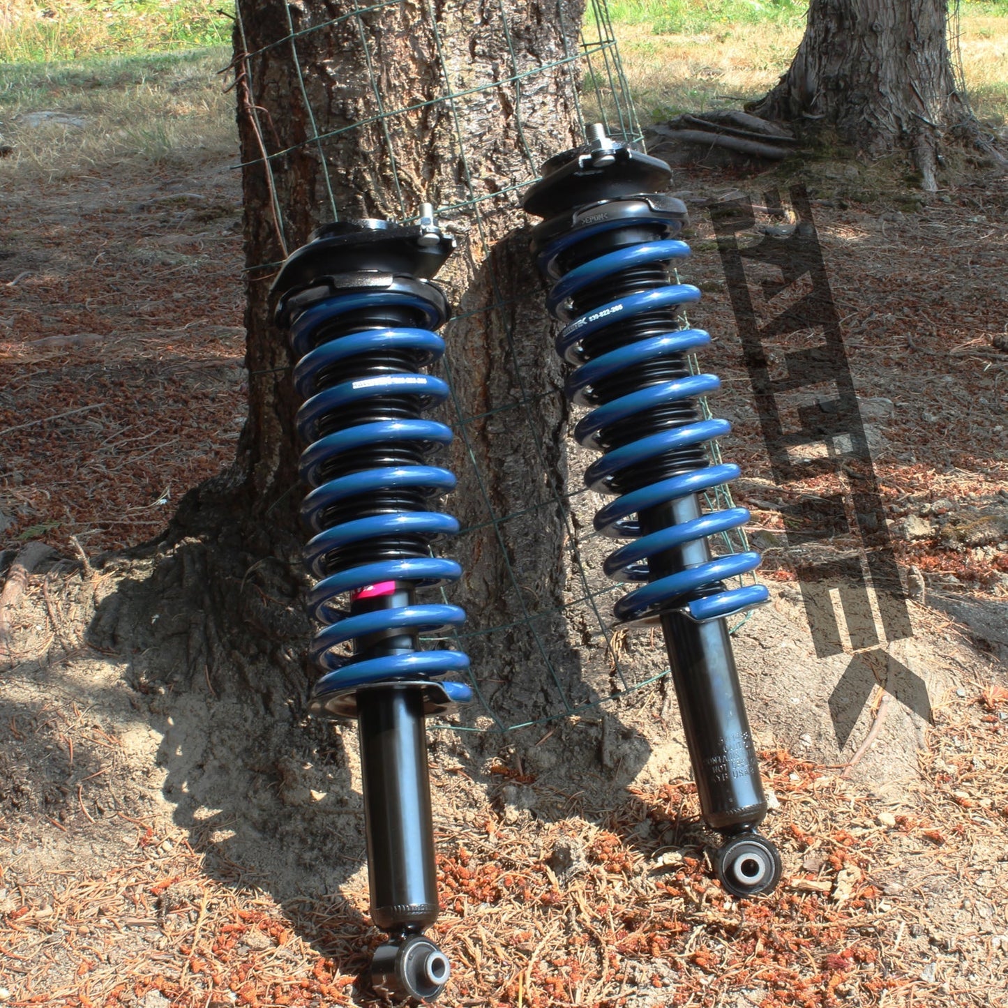 RalliTEK 0.25" Rear Sport Springs & KYB Excel-G Struts Assembled - Forester 2009-2013