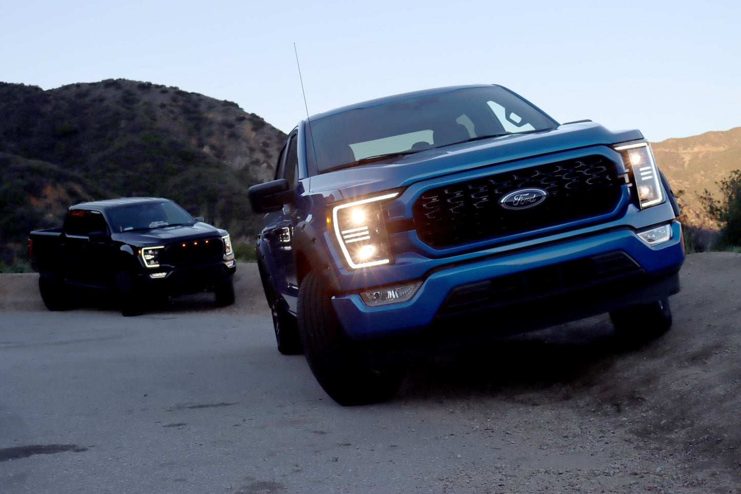 21-23 Ford F150 PRO-Series Halogen Projector Headlights Black | AlphaRex