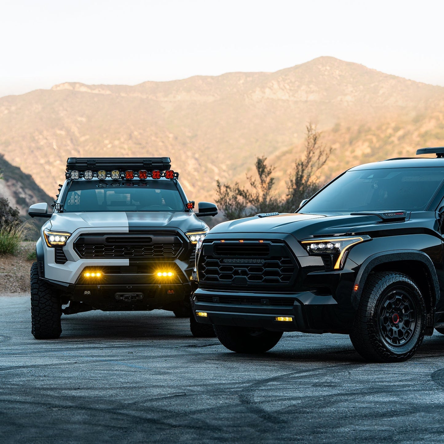 24-25 Toyota Tacoma / 22-25 Tundra/Sequoia / 25 4Runner DoubleTap Dual Color LED Projector Fog Lights | AlphaRex