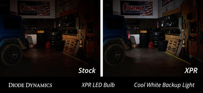 3157_xpr_cool_white_backup_collage.jpg
