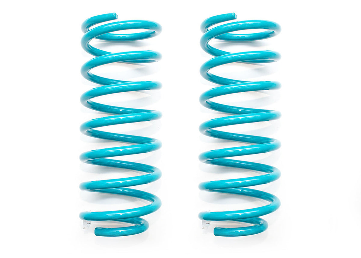DOBINSONS COIL SPRING PAIR (C59-863)