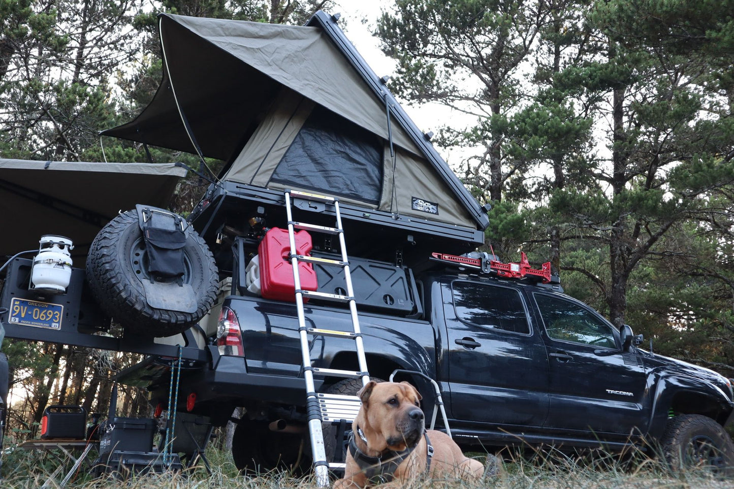 LIGHTLY USED BUSH COMPANY AX27 Roof Top Tent (In-Store Pickup or Install Only!)