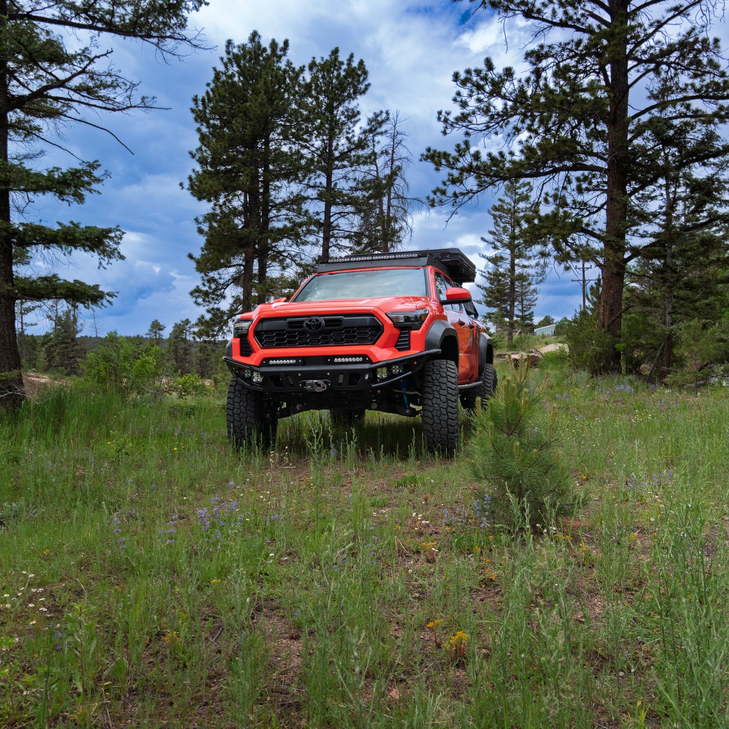 2024-2025 / 4th Gen / Tacoma Hybrid Bumper