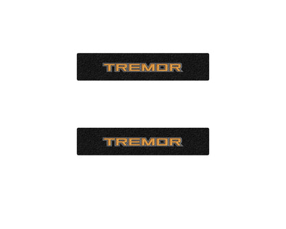 Doorsill Protection Overlays Fits 2020-2026 Ford Explorer