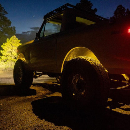 LED Rock Light (Red)