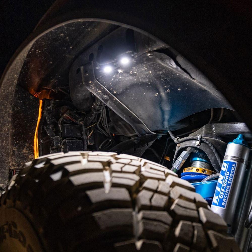 LED Rock Light (Red)