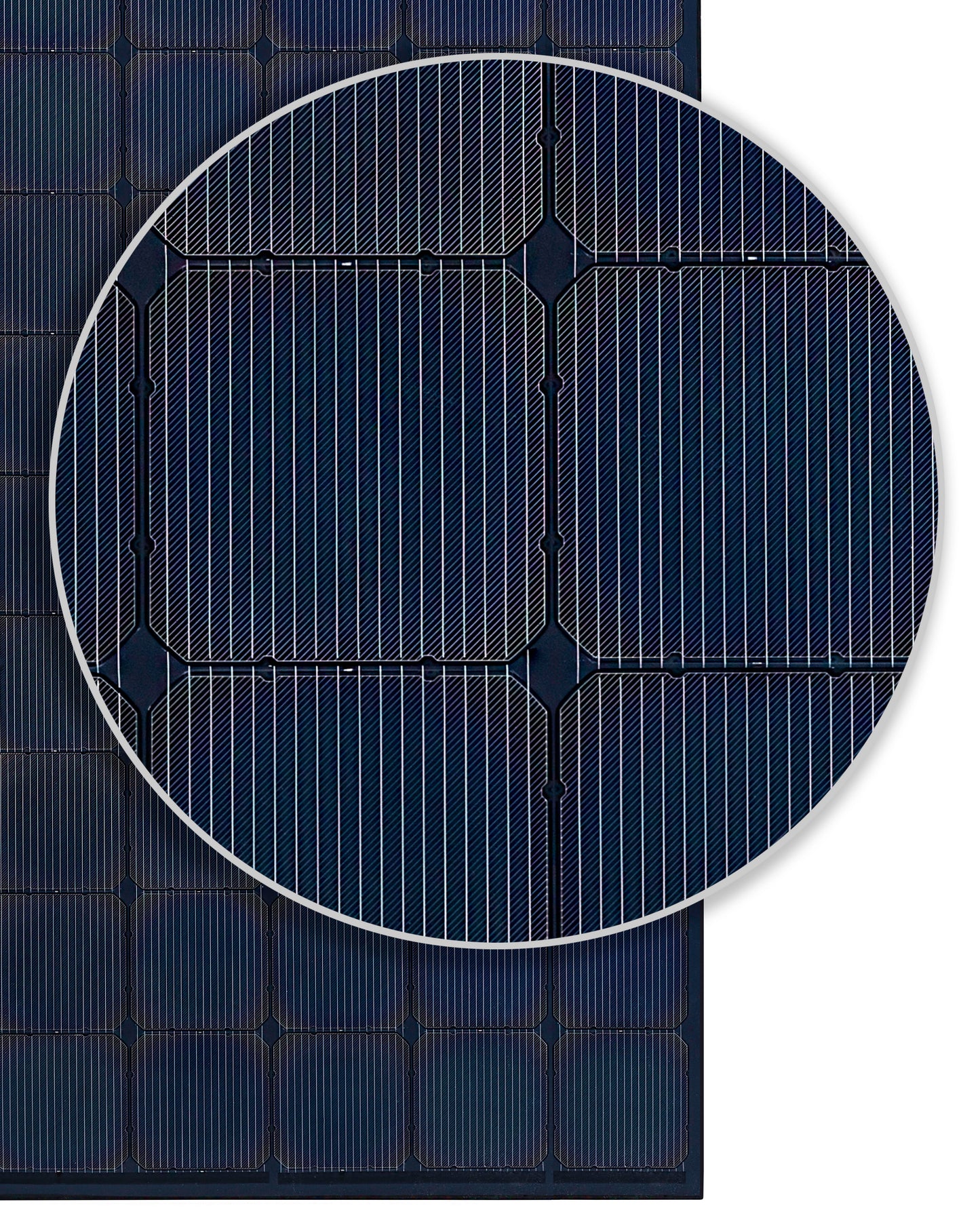 XPLOR FLEX + 115W / Weekend Panel