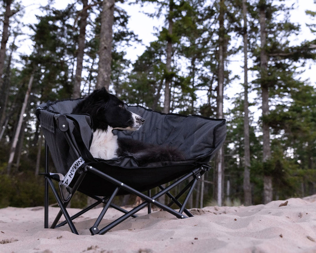 The Pet Lounger - Quick Fold Dog Camp Chair