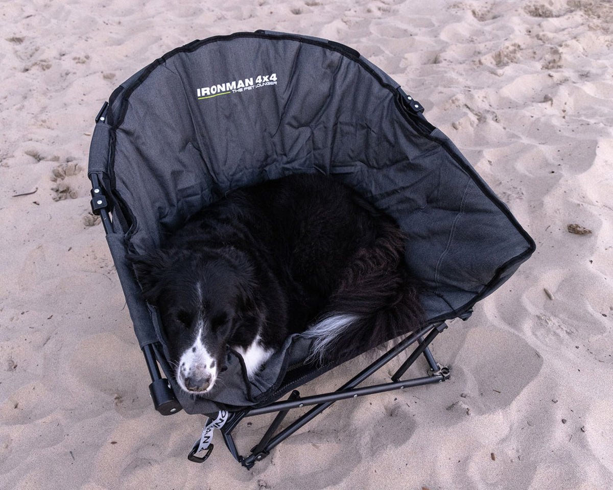 The Pet Lounger - Quick Fold Dog Camp Chair