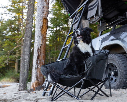 The Pet Lounger - Quick Fold Dog Camp Chair