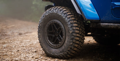 AEV Blacktail Dualsport Wheel for JK/ JL Wrangler & Gladiator - Bronze, 17x8.5 / 5x5 ET0