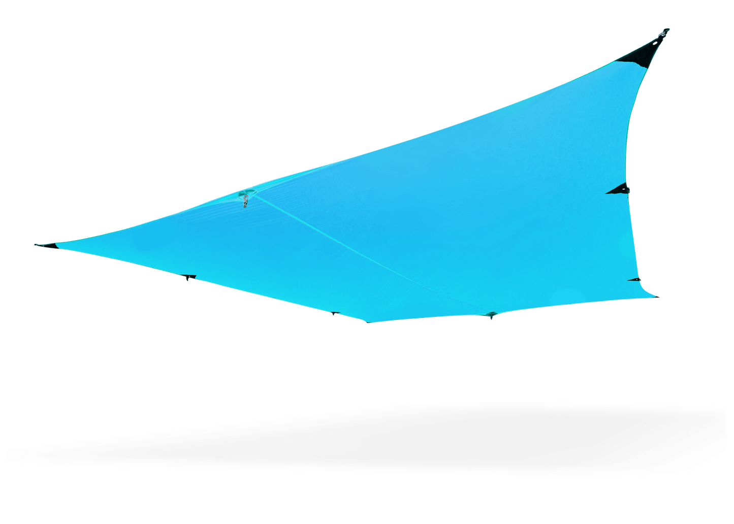 Kuhli