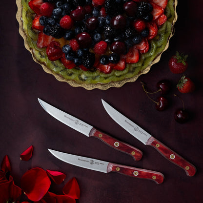Custom Red 4 Piece Steak Knife Set