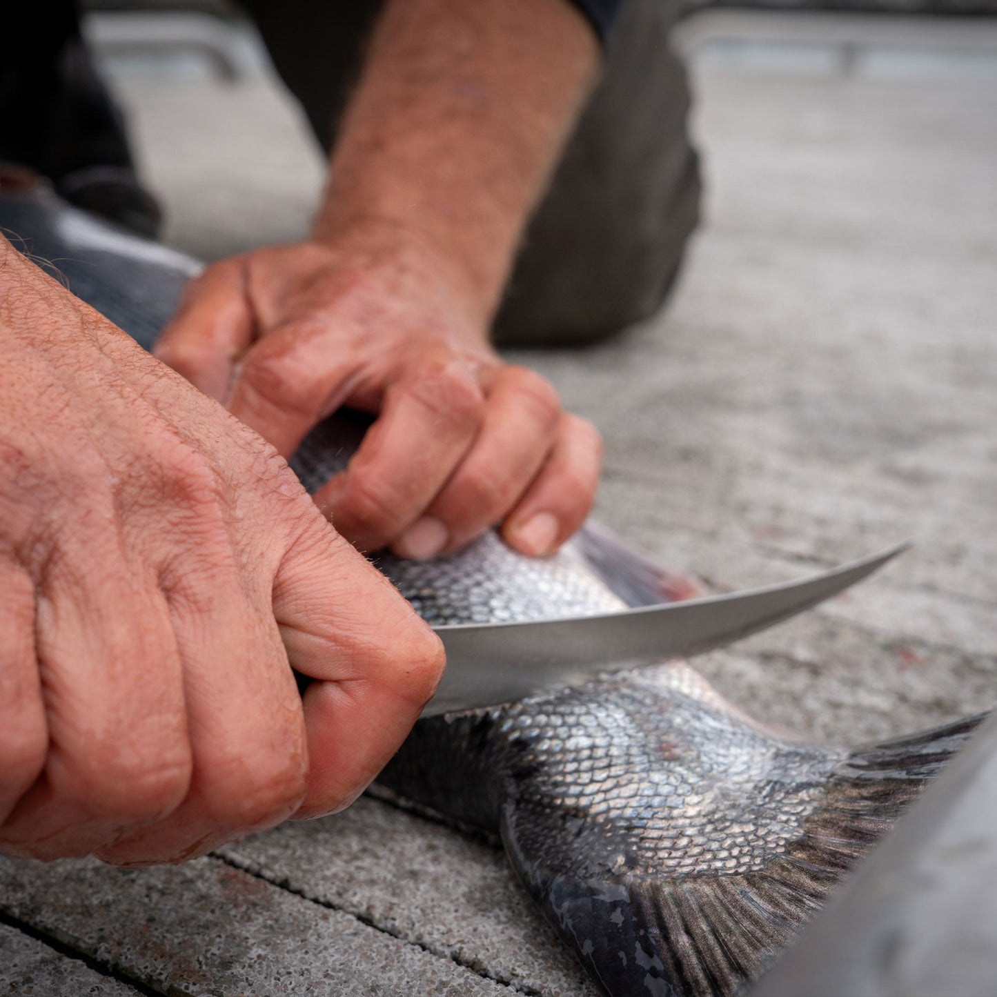 Overland Chef Mid-Flex Fillet Knife - 7"