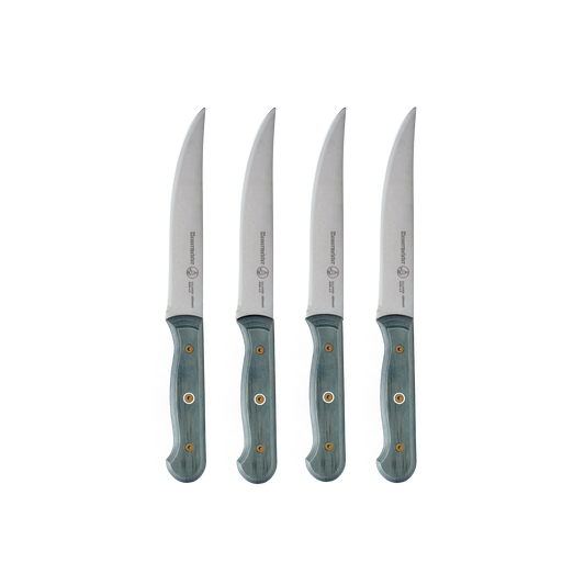 Custom Blue 4 Piece Steak Knife Set