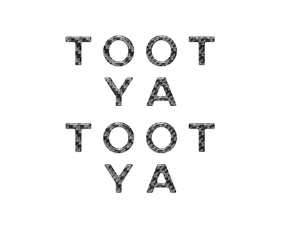 Door Sill Letter Overlays Fits 2025-2027 Toyota 4Runner & 2024-2027 Toyota Tacoma