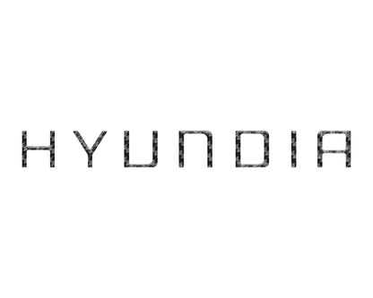 Tailgate Handle Letter Inserts Fits 2022-2027 Hyundai Santa Cruz