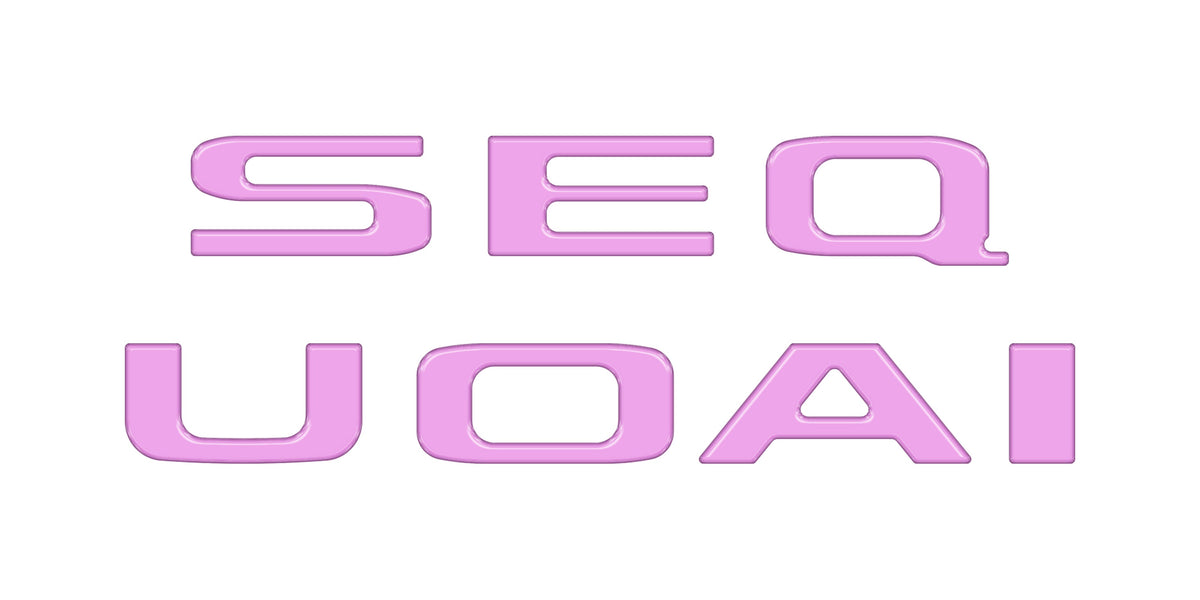 Rear Hatch Letter Overlays Fits 2023-2027 Toyota Sequoia