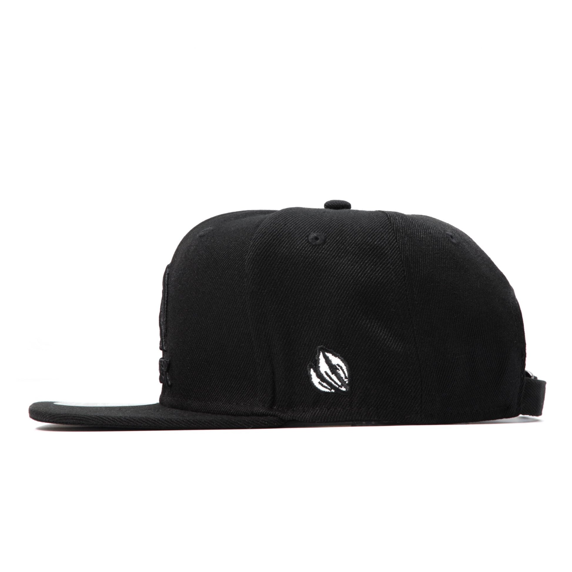 AlphaRex Embroidered Snapback All Black | AlphaRex