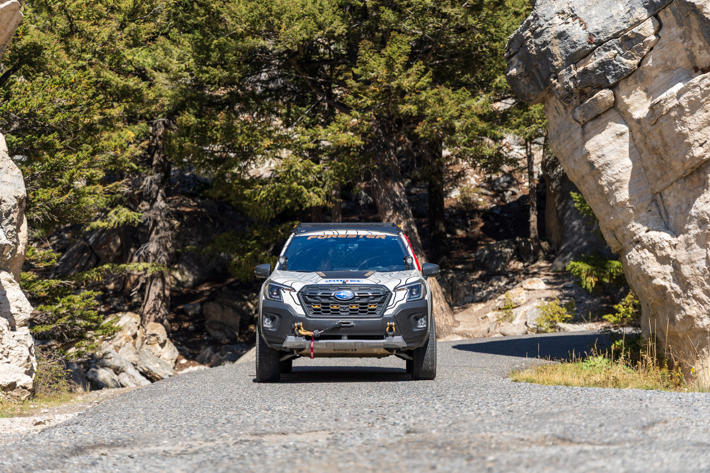 2" Bilstein B8 Suspension Lift Kit - Fits 19-24 Subaru Forester