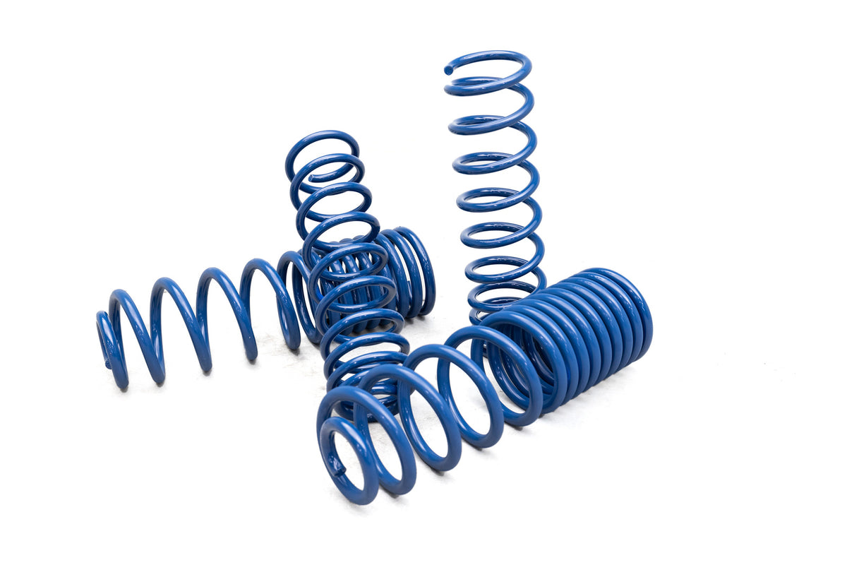 AEV 3" High Capacity Spring Kit for JT Gladiator- Gas
