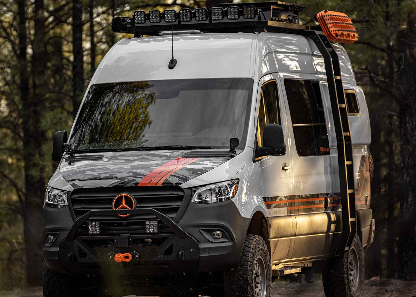 Mercedes Sprinter (2014+) Storyteller Van Ladder