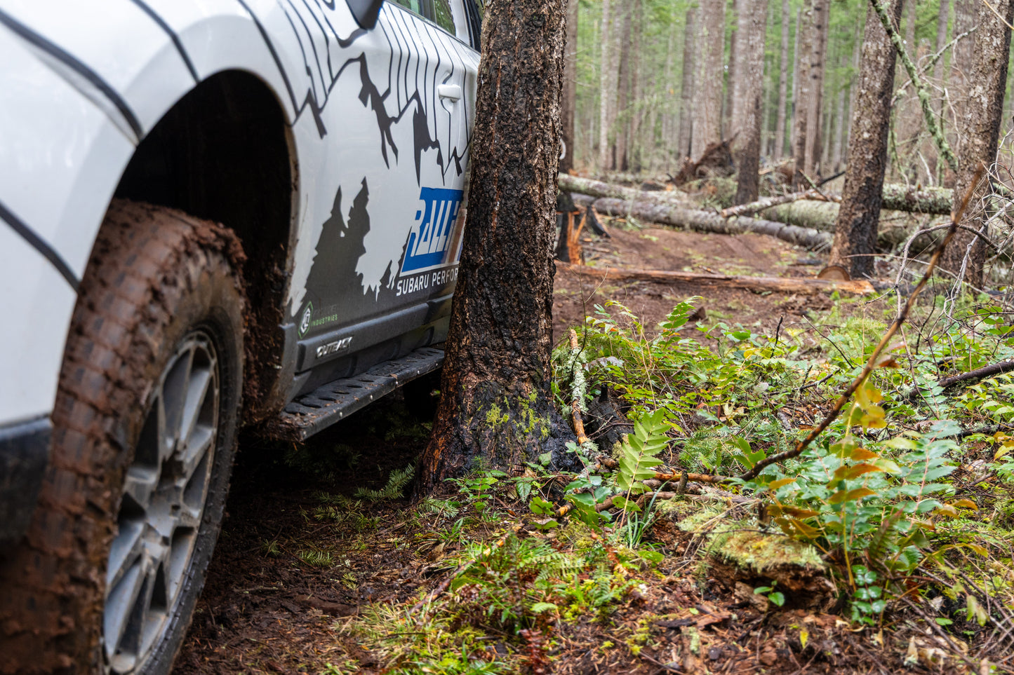 Rock Sliders - Fits 20-25 Subaru Outback and Wilderness